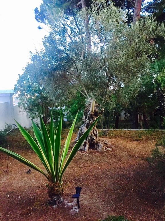 Le Due Pigne (Adults Only) Villa Taranto Bagian luar foto