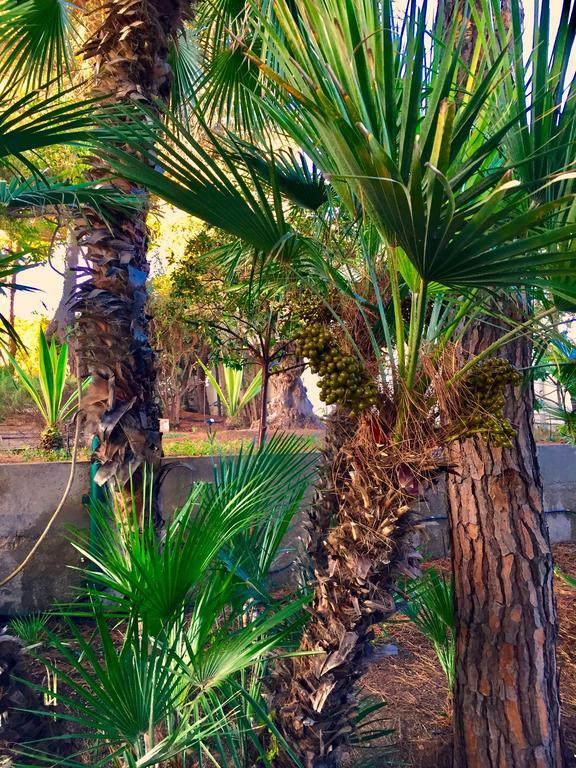 Le Due Pigne (Adults Only) Villa Taranto Bagian luar foto